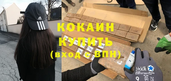мдпв Богданович