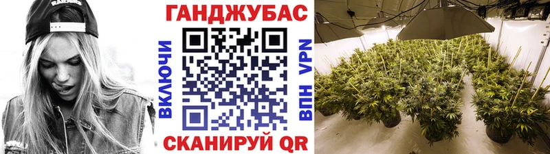 хочу наркоту  Великий Устюг  Каннабис конопля 